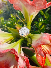 IN HAND: gojo chibi head